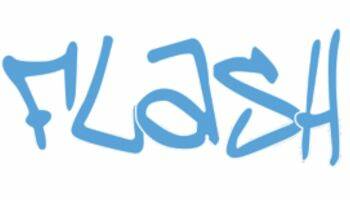 Logo Flash